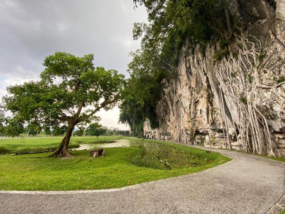 Low Season Promotion! 4B11B Mountainview 16 Pax Ipoh Luaran gambar
